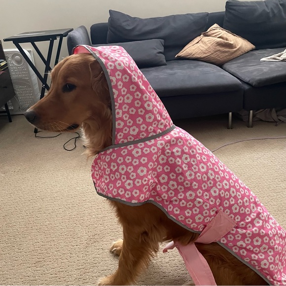 Dog raincoat - Picture 5 of 6